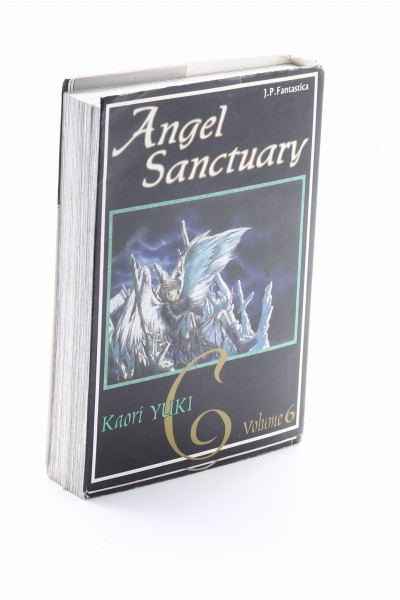 Angel Sanctuary Yuki tom 6