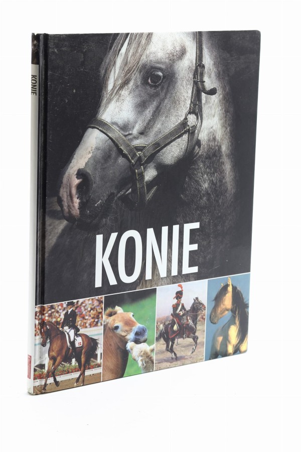 Konie Kulisa