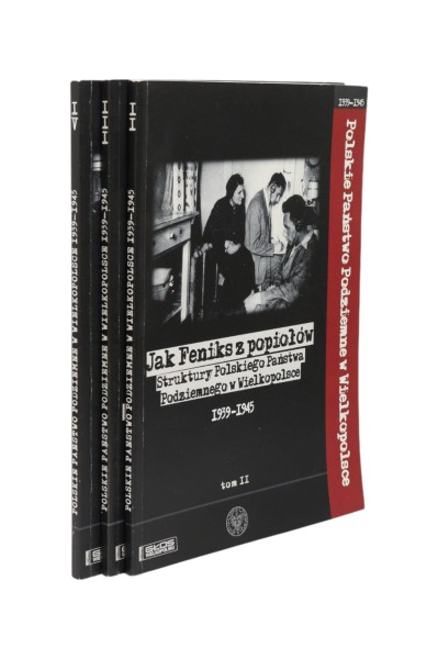 3x Polskie Państwo Podziemne w Wielkopolsce 1939-1945 Tom II, III, IV