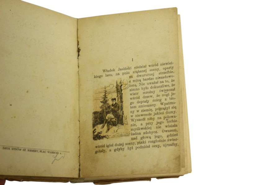 Olszynka Grochowska powieść osnuta na tle 1831r. Przyborowski