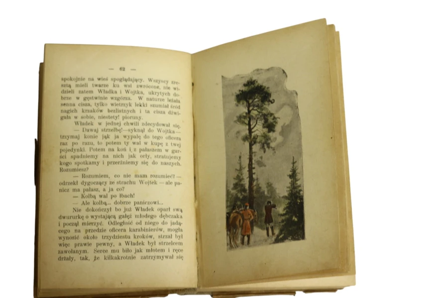 Olszynka Grochowska powieść osnuta na tle 1831r. Przyborowski