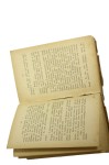 Olszynka Grochowska powieść osnuta na tle 1831r. Przyborowski