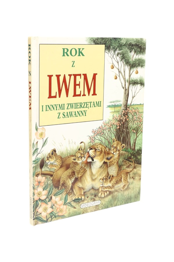 Rok z lwem i innymi zwierzętami z Sawanny Bertino