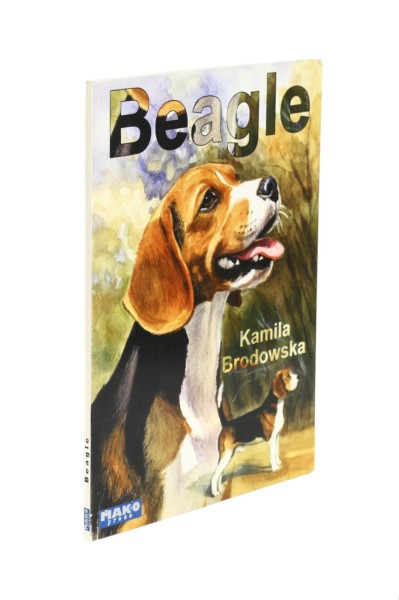 Beagle Kamila Brodowska