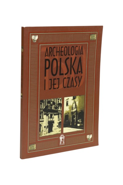 Archeologia polska i jej czasy Brzostowicz