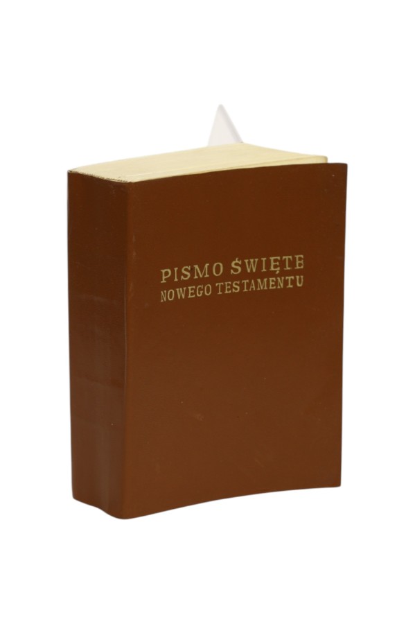 Pismo Święte Nowego Testamentu