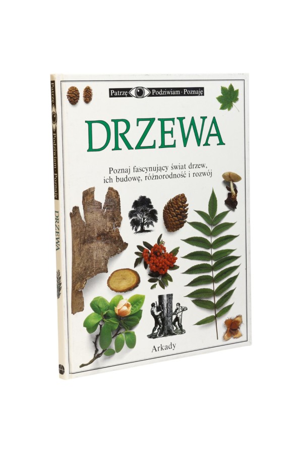 Patrzę Podziwiam Poznaję Drzewa