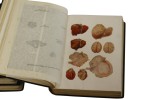 3x Michalski Encyklopedja powszechna Ultima Thule Tom 1,2,3