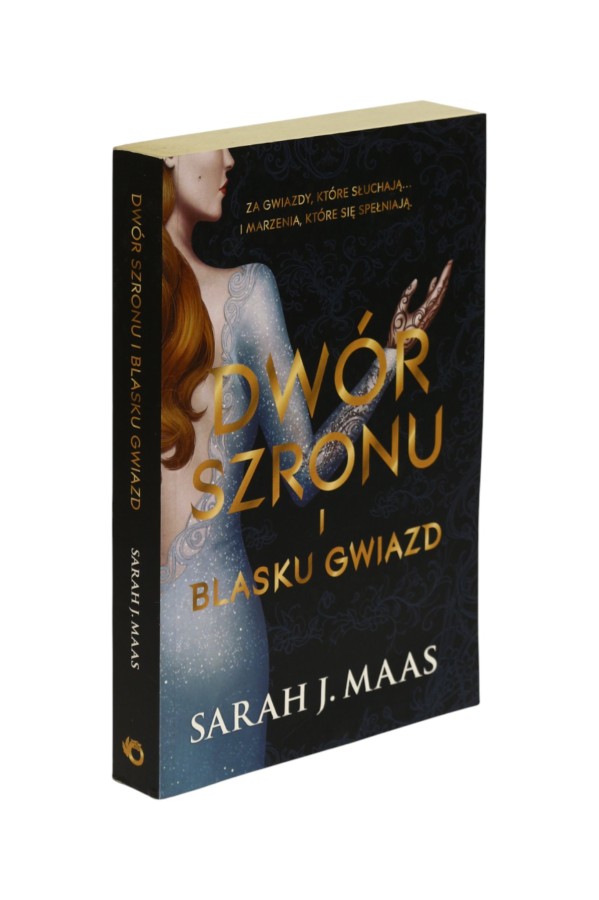 Dwór szronu i blasku gwiazd Maas