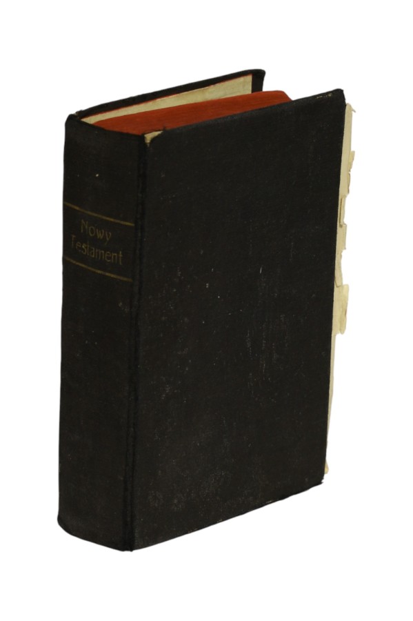 Ewangelia i Dzieje Apostolskie Szczepański 1917