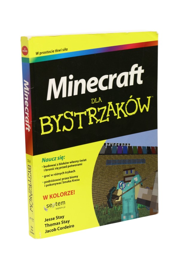 Minecraft dla bystrzaków Stay