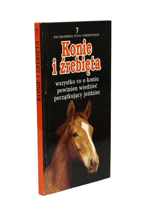 Konie i źrebięta wszystko co o koniu powinien wiedzieć poczatkujący jeździec