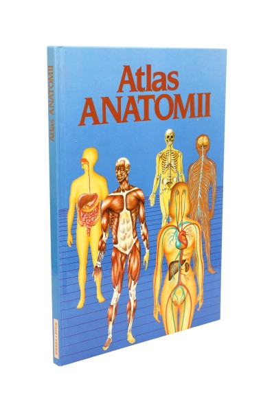 Atlas anatomii Ortega