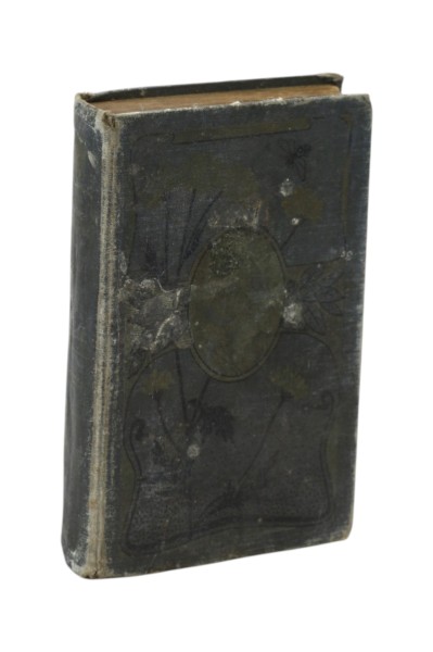 Poezye Juliusza Słowackiego Tom I Nowa biblioteka Psiarzy Polskich Tom V