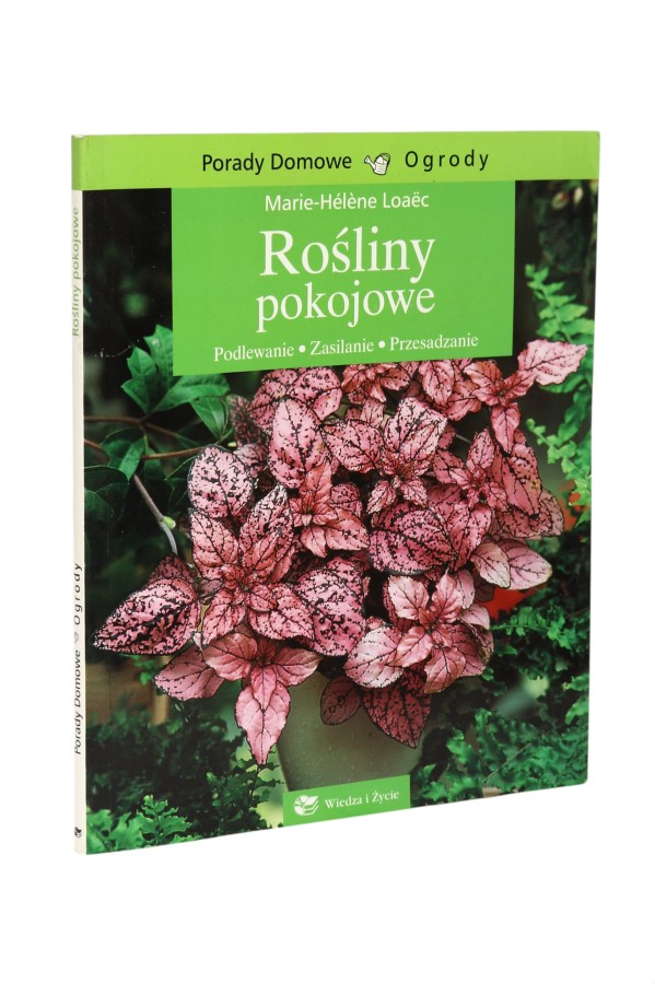 Rośliny pokojowe Loaec