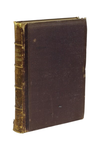 Historya kościoła katolickiego Bulińskiego 1874