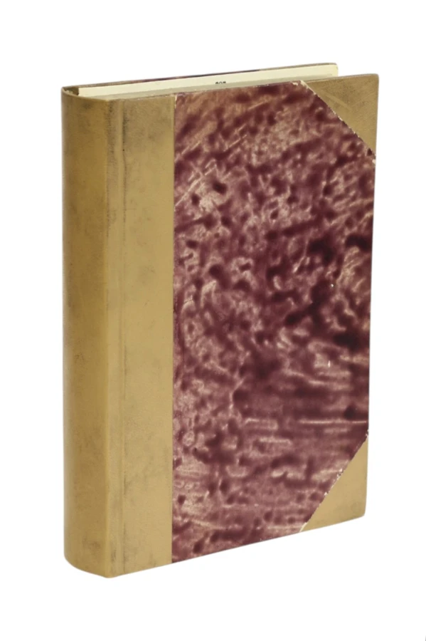 Miłość i małżeństwo Witwicki 1905