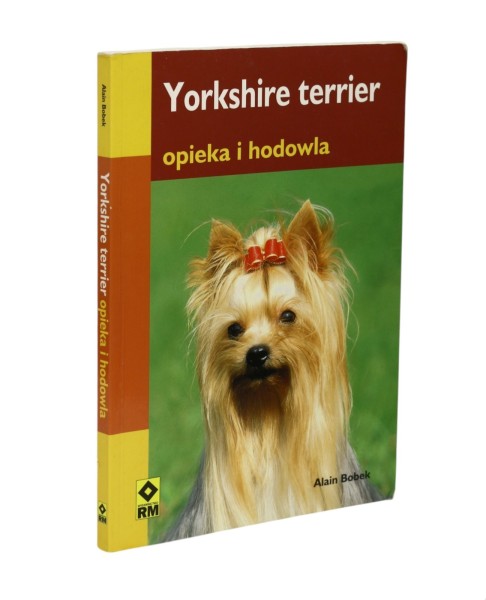 Yorkshire terrier opieka i hodowla Bobek