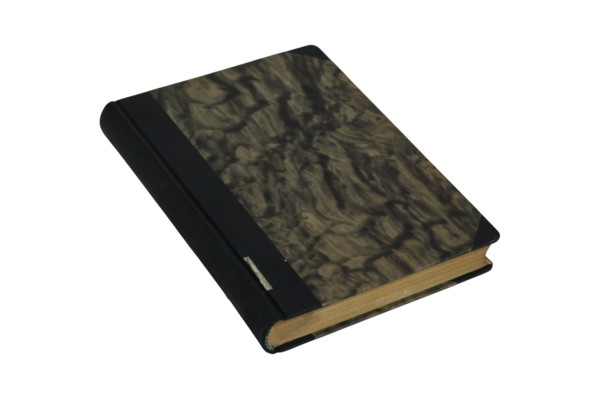 Dziennik pobytu Adama Mickiewicza w Rosji Gomolicki