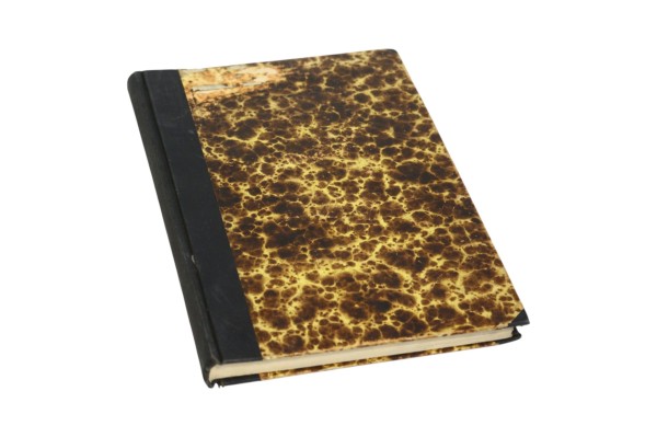 Listy Ks. Piotra Skargi z lat 1566-1610 objaśnił Ks. Jan Sygański