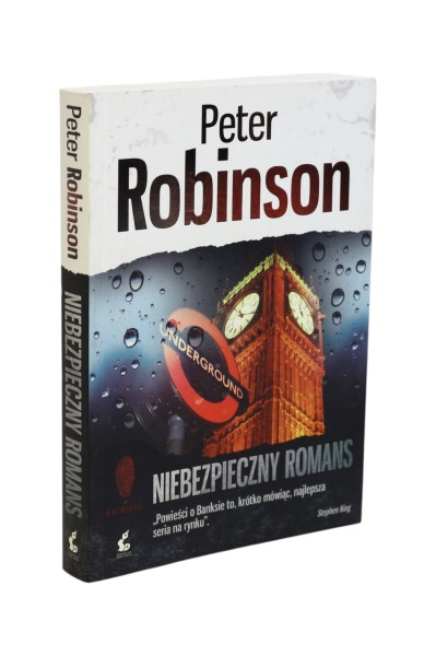 Niebezpieczny romans Robinson