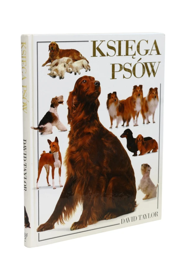 Księga psów Taylor