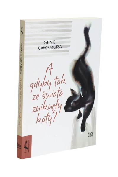 A gdyby tak ze świata zniknęły koty  Kawamura