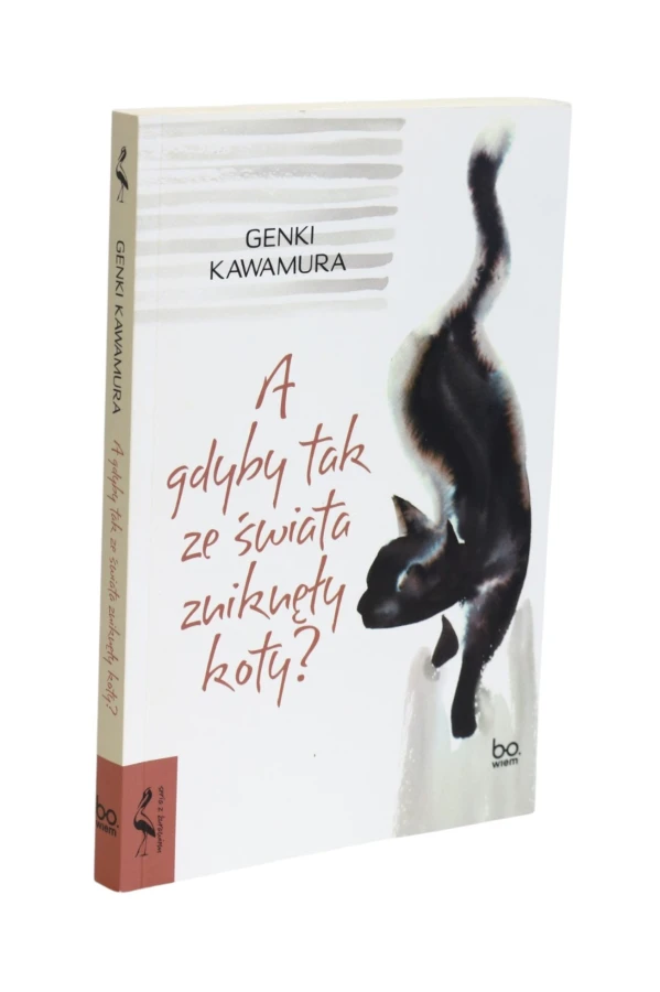 A gdyby tak ze świata zniknęły koty  Kawamura