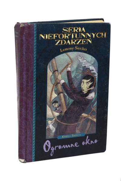 Seria niefortunnych zdarzeń Księga trzecia Ogromne okno Snicket
