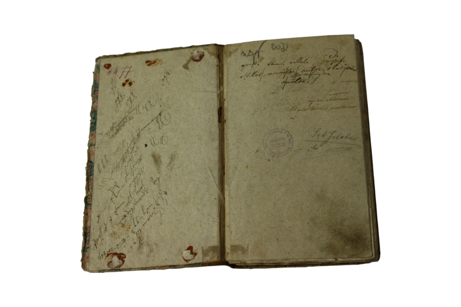 Elementa Arithmeticae Singularis Et Universalis