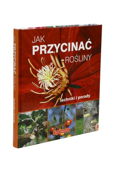 Jak przycinać rośliny Techniki i porady