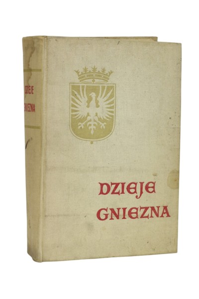 Dzieje Gniezna Topolski
