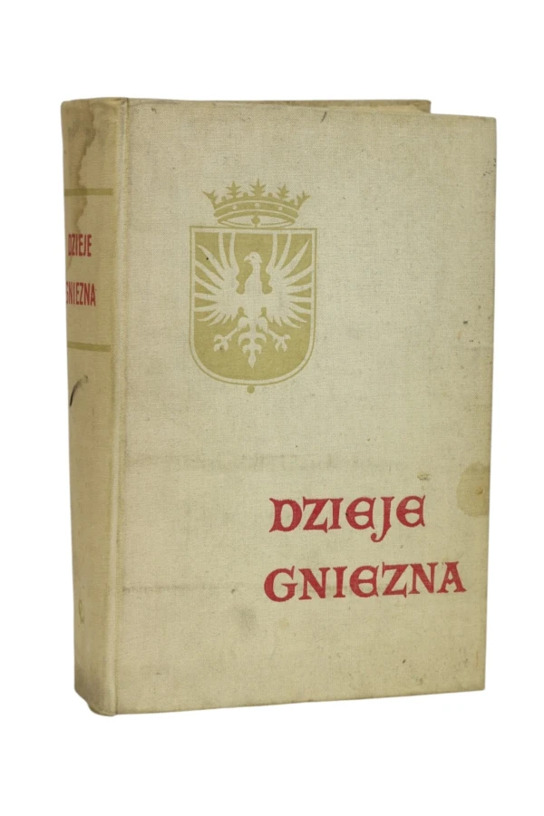 Dzieje Gniezna Topolski