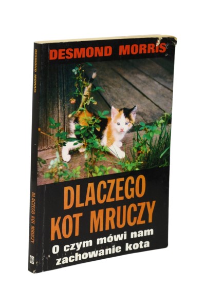 Dlaczego kot mruczy Morris