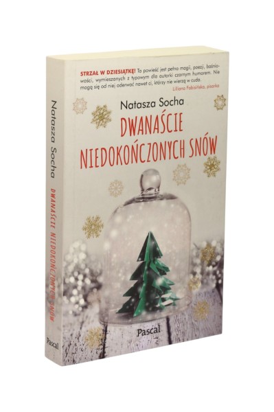 Dwanaście niedokończonych snów Socha