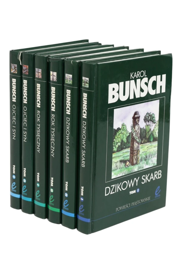 6x Bunsch Powieści piastowskie Rok Tysięczny/ Ojciec i syn/ Dzikowy skarb