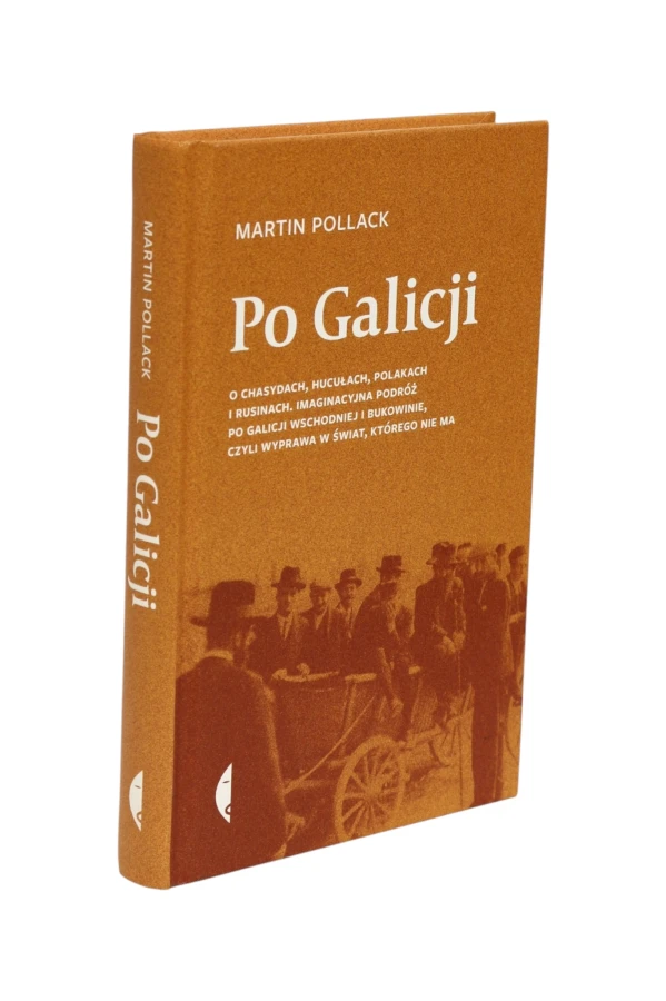 Po Galicji Martin Pollack