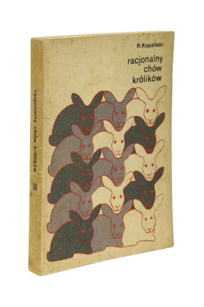 Racjonalny chów królików Kopański