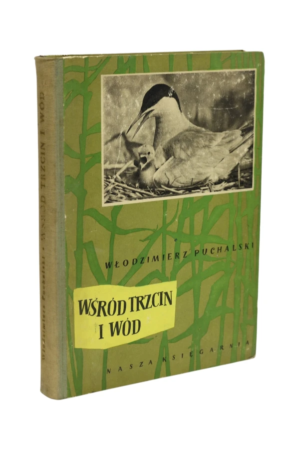 Wśród trzcin i wód Puchalski