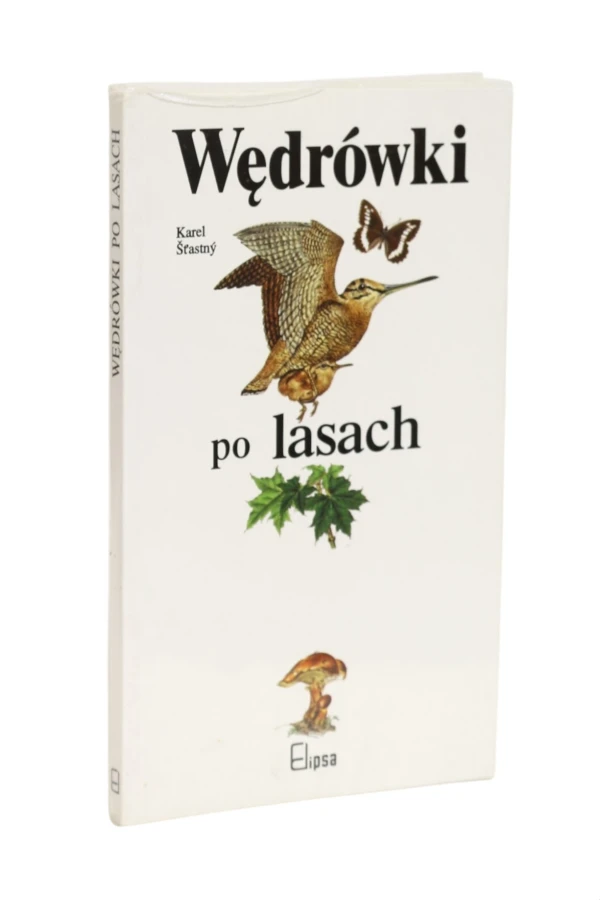 Wędrówki po lasach Stastny