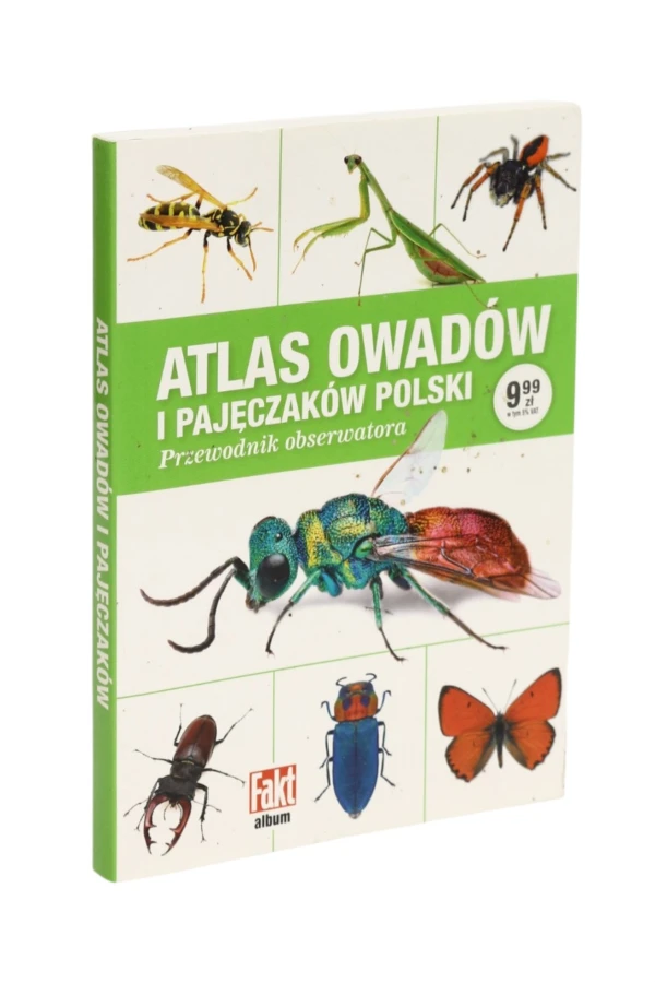 Atlas Owadów i pajęczaków Polski Przewodnik obserwatora
