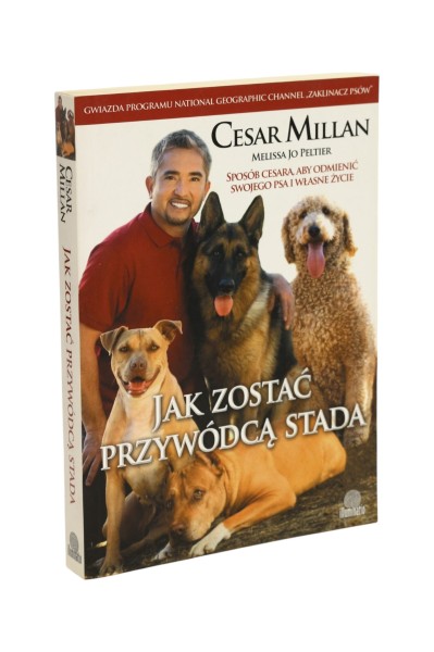 Jak zostać przywódcą stada Millan