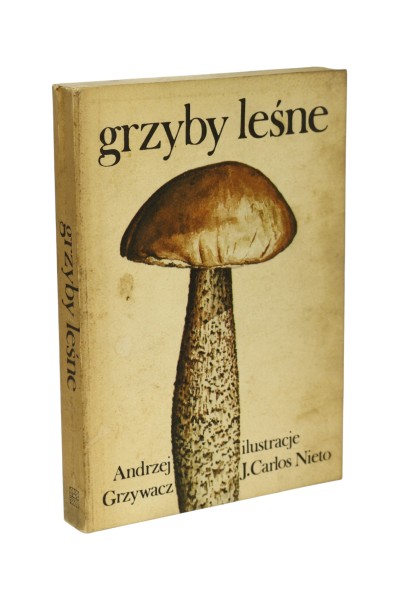Grzyby leśne Grzywacz