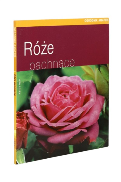 Róże pachnące Heide Rau
