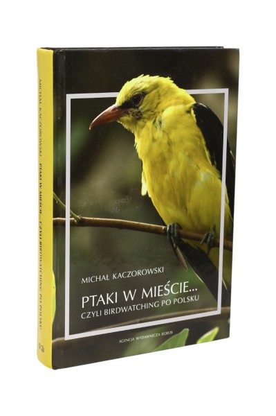 Ptaki w mieście... czyli birdwatching po polsku Kaczorowski