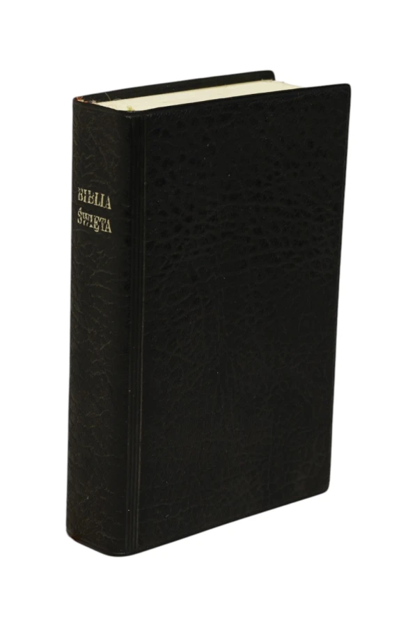 Biblia to jest Pismo Święte Starego i Nowego Testamentu