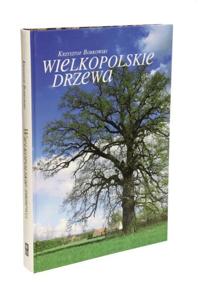 Wielkopolskie drzewa  Borkowski