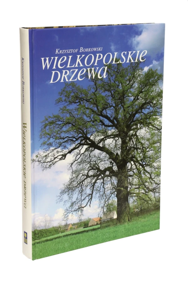 Wielkopolskie drzewa  Borkowski