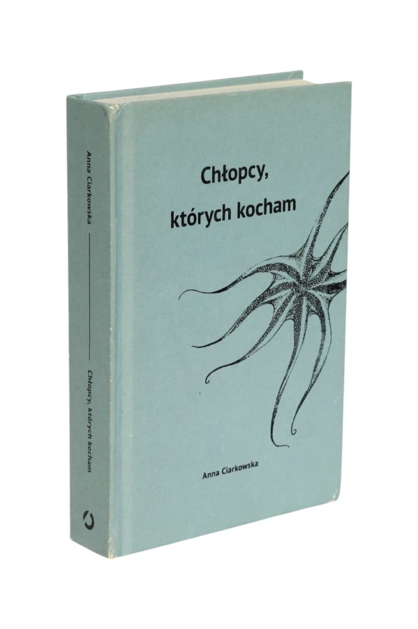Chłopcy, których kocham Anna Ciarkowska