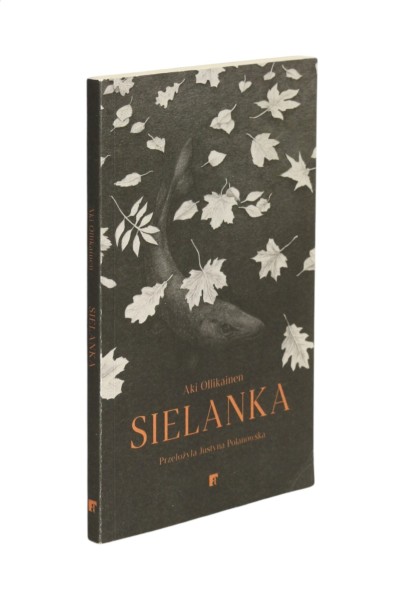 Sielanka Aki Ollikainen